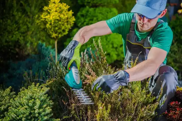 landscaping services South Haven